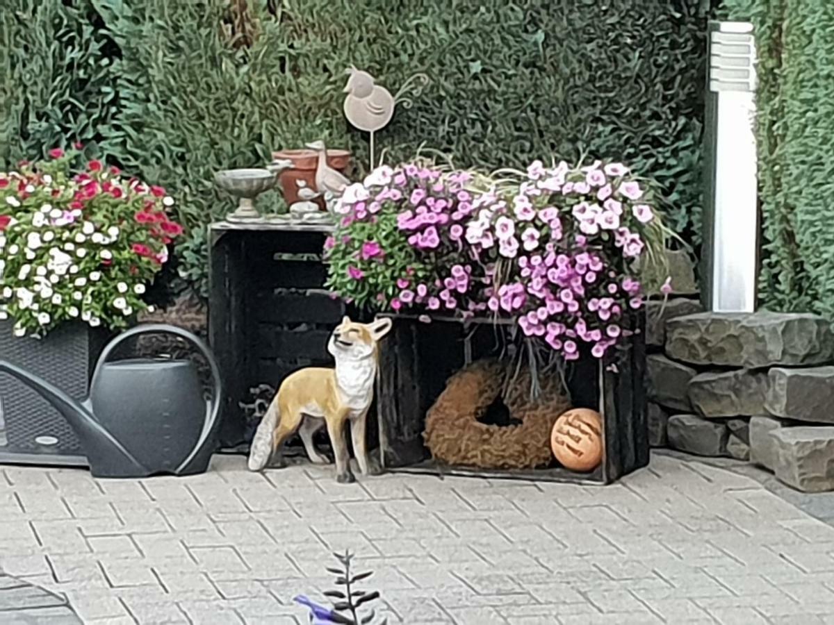 Ferienwohnung Dachgeschoss35 Witten an der Ruhr Exterior foto